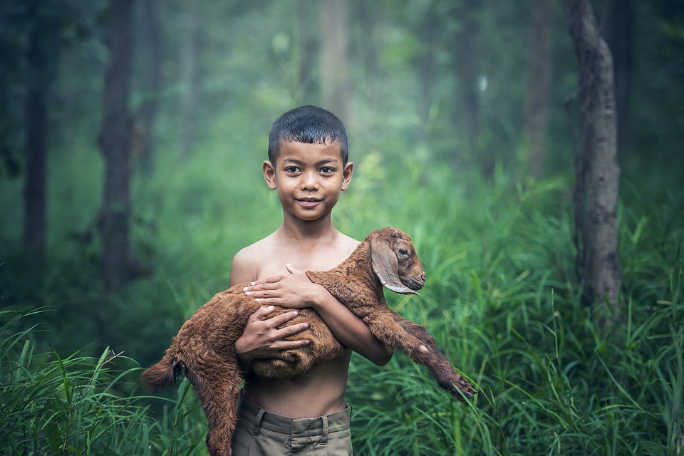 boy-goat-1807545_960_720
