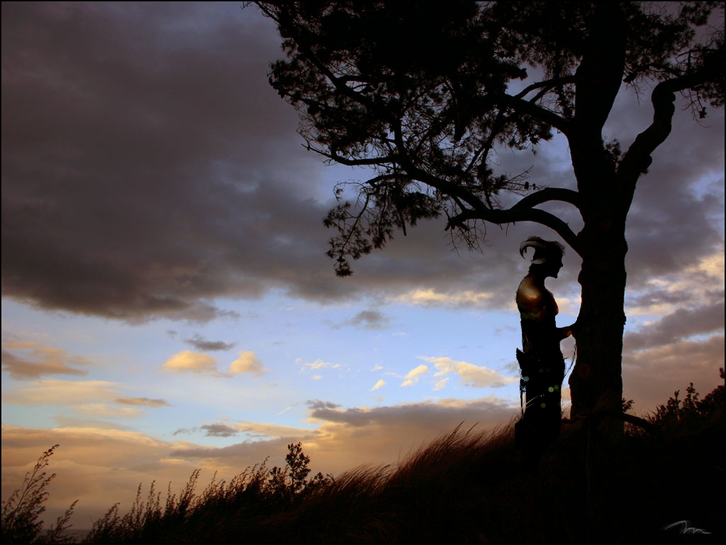 180804_pine_sunset_20170509234726861