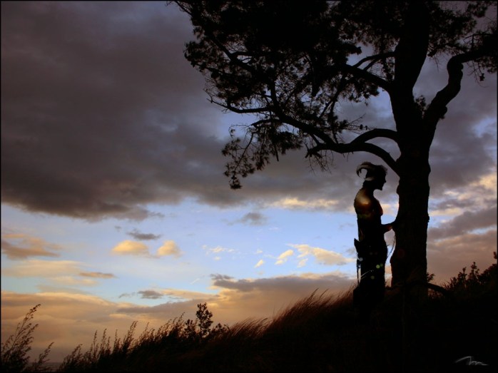 180804_pine_sunset_20170509234726861